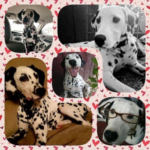 Meet your Posher, Encil - Picture 1 of 1